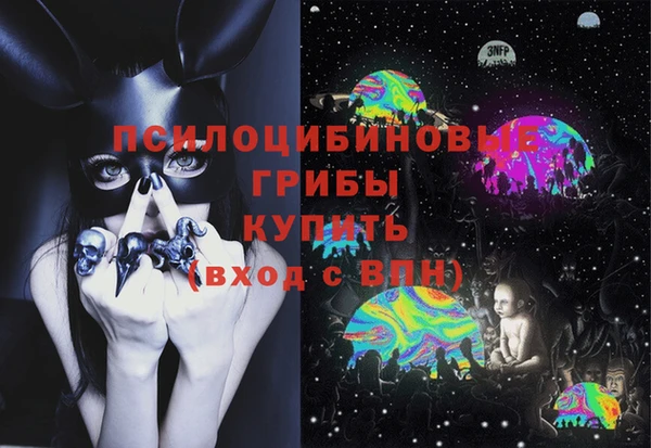 СК Абаза