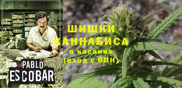 ГАЛЛЮЦИНОГЕННЫЕ ГРИБЫ Абдулино